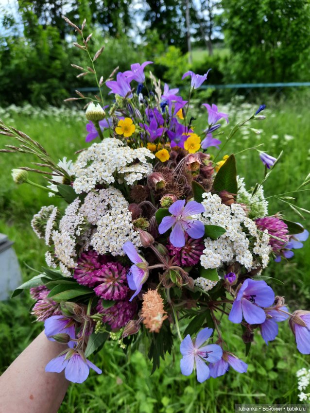 Мини трио новеньких — Винтажные куклы ГДР (Немки): Бигги