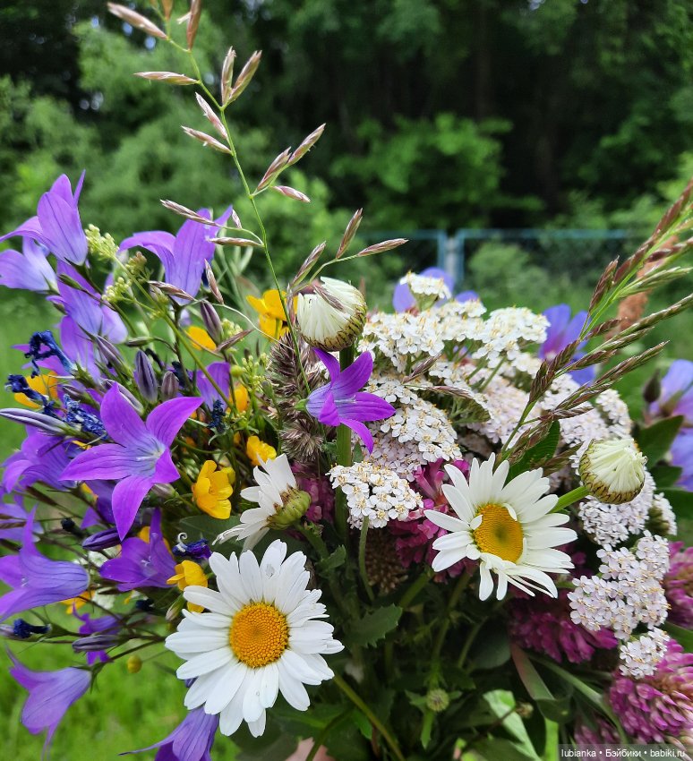 Мини трио новеньких — Винтажные куклы ГДР (Немки): Бигги