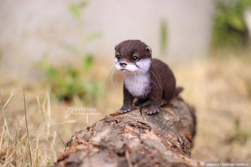 Детёныш выдры — Валяные игрушки из шерсти: сухое валяние (фото 9)