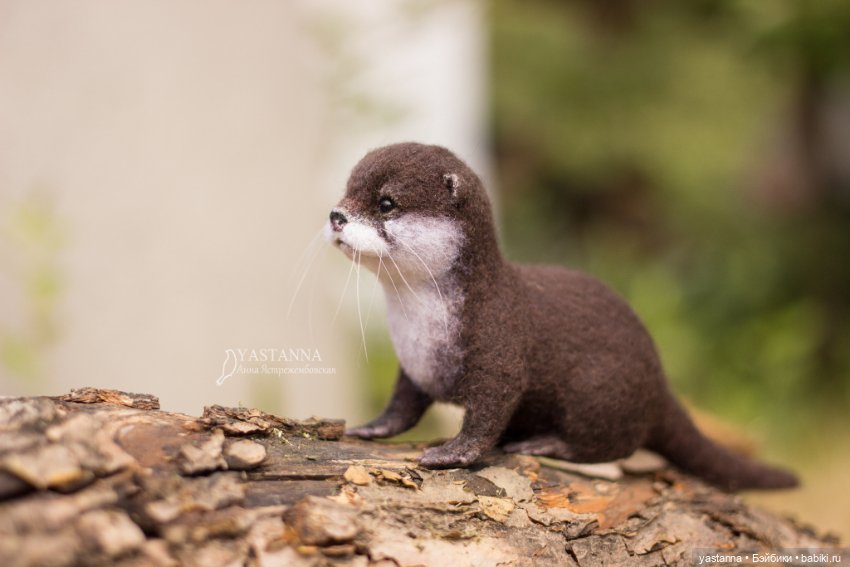 Детёныш выдры — Валяные игрушки из шерсти: сухое валяние (фото 4)