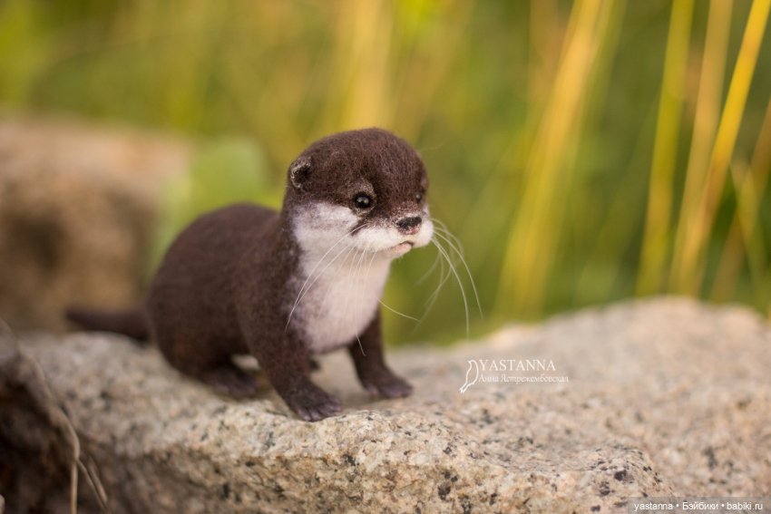 Детёныш выдры — Валяные игрушки из шерсти: сухое валяние