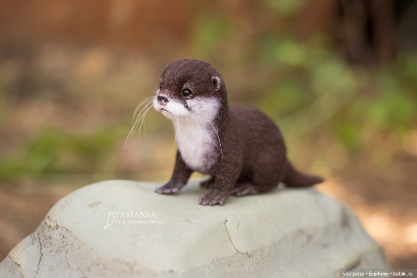 Детёныш выдры — Валяные игрушки из шерсти: сухое валяние