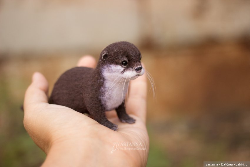 Детёныш выдры — Валяные игрушки из шерсти: сухое валяние