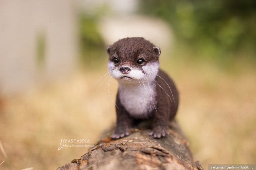 Детёныш выдры — Валяные игрушки из шерсти: сухое валяние (фото 8)