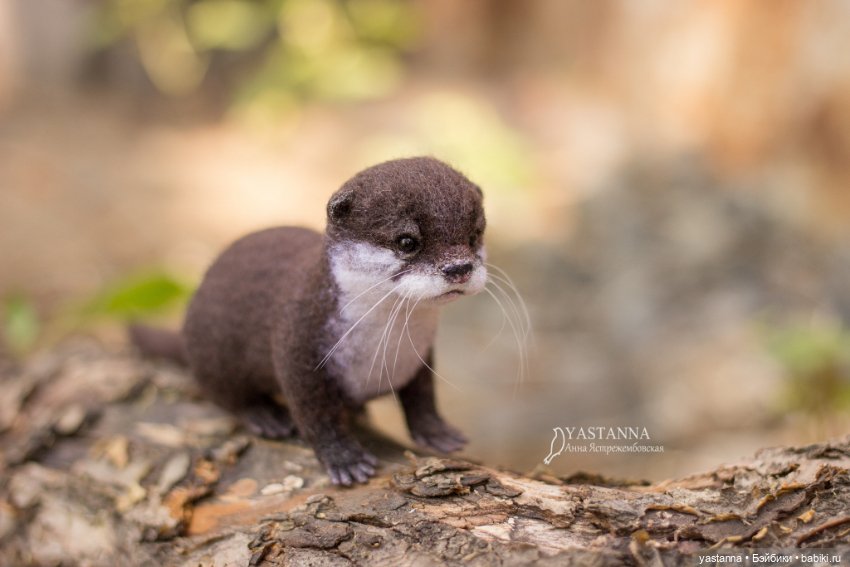 Детёныш выдры — Валяные игрушки из шерсти: сухое валяние