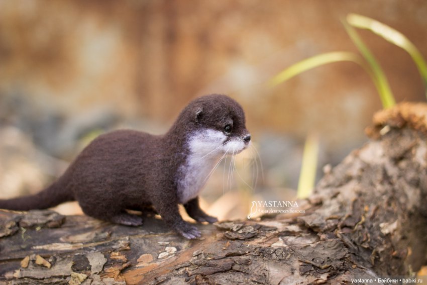 Детёныш выдры — Валяные игрушки из шерсти: сухое валяние