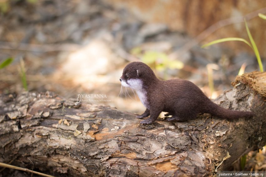 Детёныш выдры — Валяные игрушки из шерсти: сухое валяние