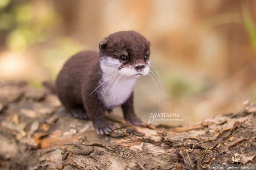 Детёныш выдры — Валяные игрушки из шерсти: сухое валяние