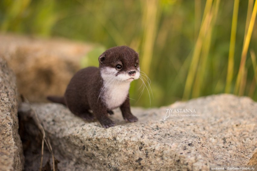 Детёныш выдры — Валяные игрушки из шерсти: сухое валяние