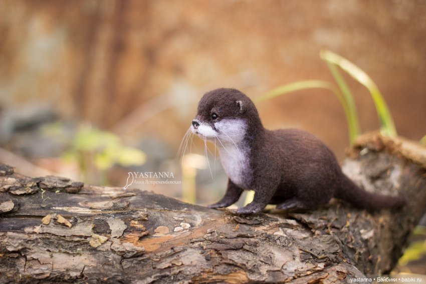 Детёныш выдры — Валяные игрушки из шерсти: сухое валяние