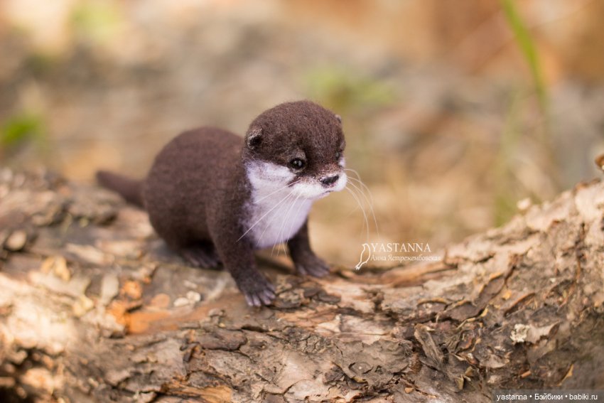 Детёныш выдры — Валяные игрушки из шерсти: сухое валяние (фото 10)