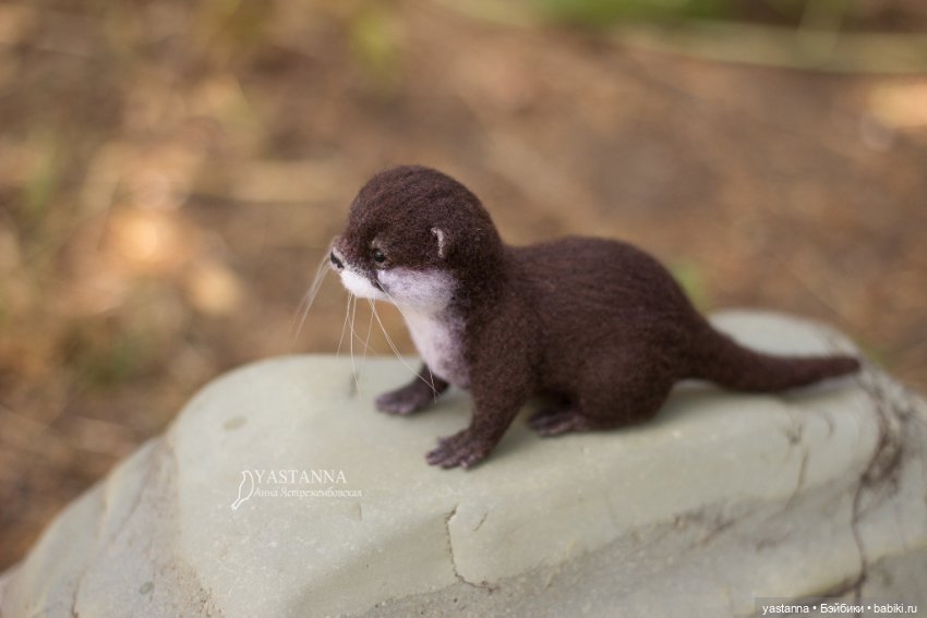 Детёныш выдры — Валяные игрушки из шерсти: сухое валяние