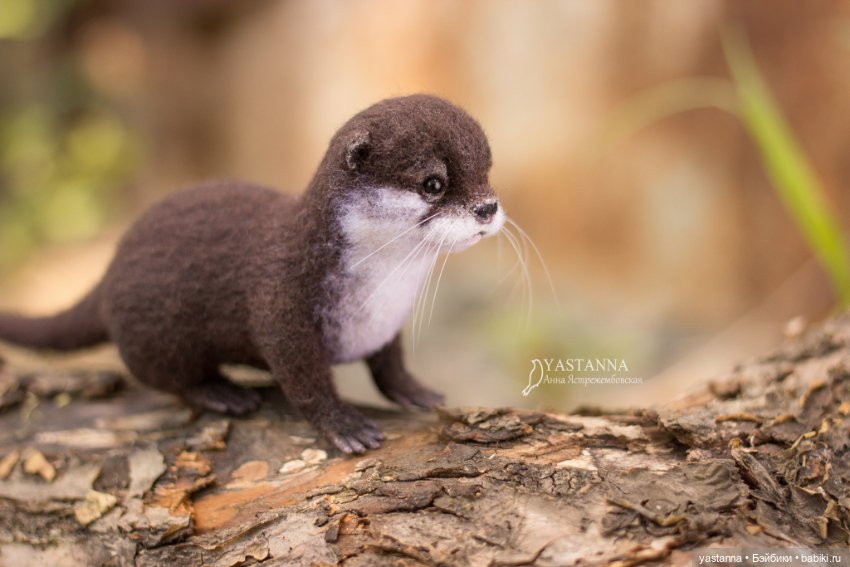 Детёныш выдры — Валяные игрушки из шерсти: сухое валяние