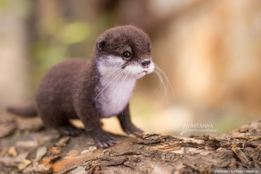 Детёныш выдры — Валяные игрушки из шерсти: сухое валяние