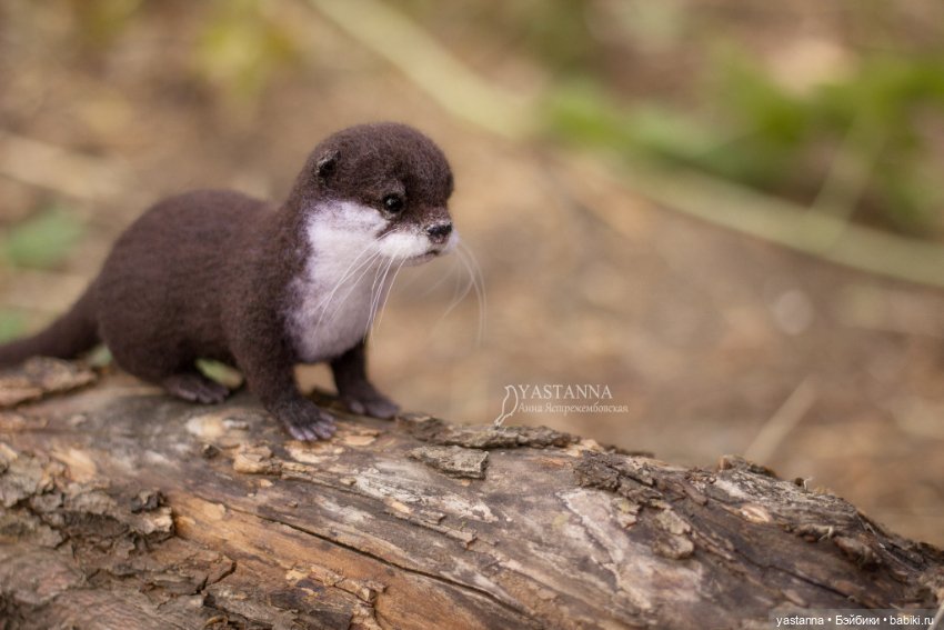 Детёныш выдры — Валяные игрушки из шерсти: сухое валяние (фото 3)