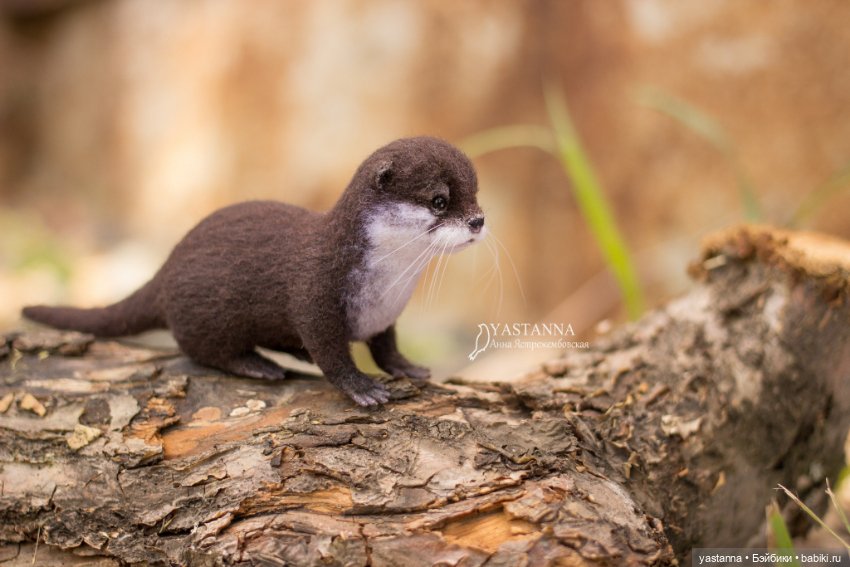 Детёныш выдры — Валяные игрушки из шерсти: сухое валяние