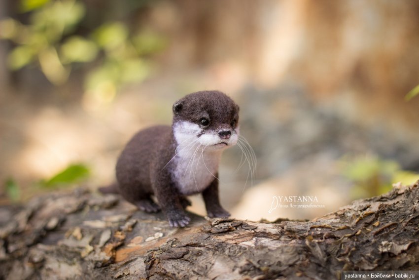 Детёныш выдры — Валяные игрушки из шерсти: сухое валяние