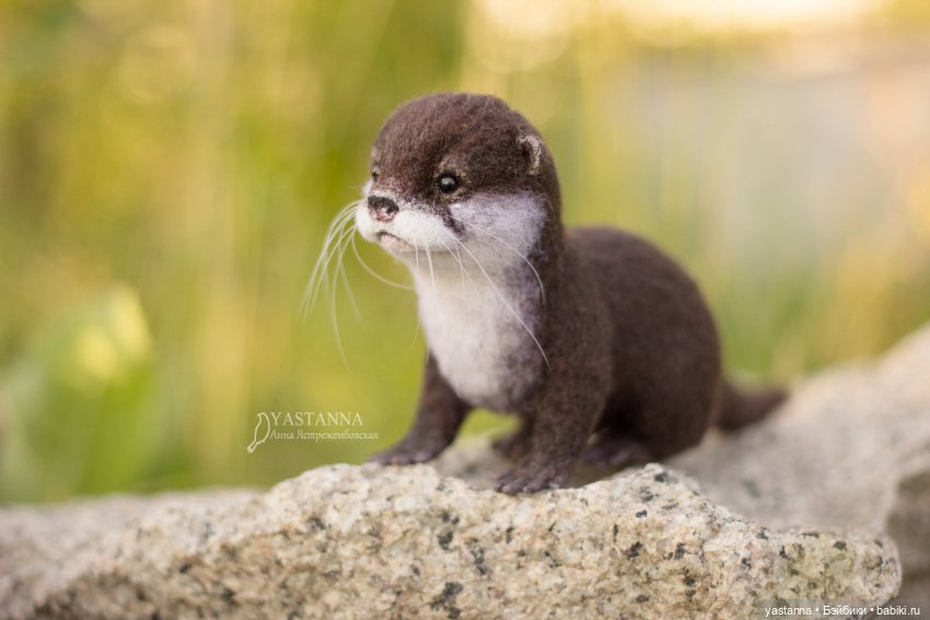 Детёныш выдры — Валяные игрушки из шерсти: сухое валяние