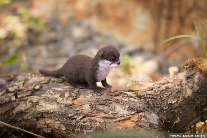 Детёныш выдры — Валяные игрушки из шерсти: сухое валяние