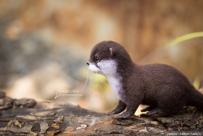 Детёныш выдры — Валяные игрушки из шерсти: сухое валяние