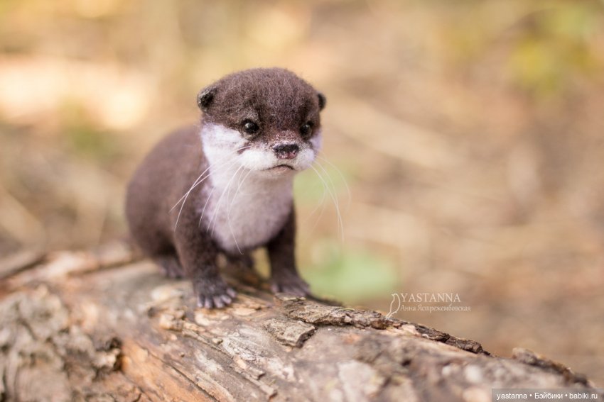 Детёныш выдры — Валяные игрушки из шерсти: сухое валяние