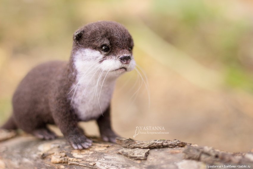 Детёныш выдры — Валяные игрушки из шерсти: сухое валяние (фото 2)