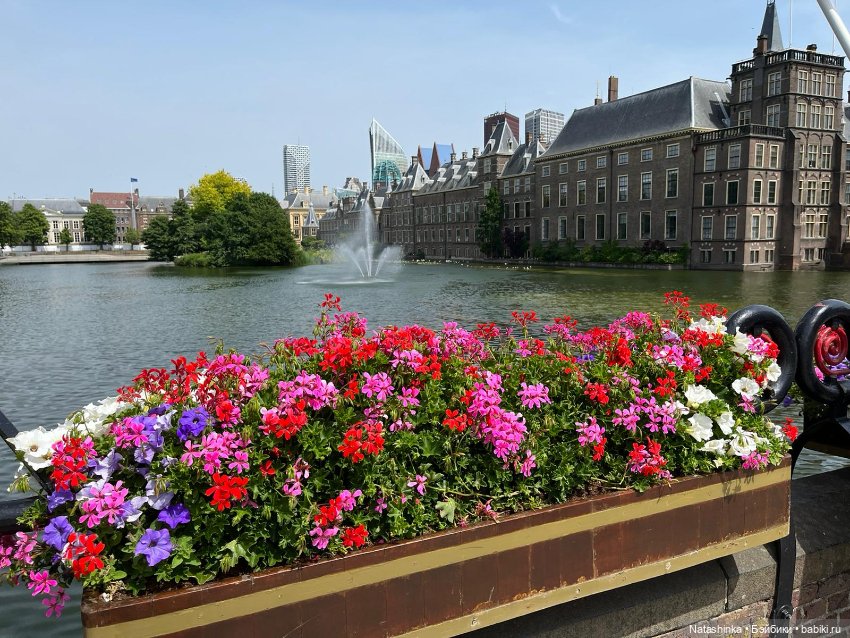 Fashion Dolls 386 — Туризм и путешествия: фотоотчеты из поездок