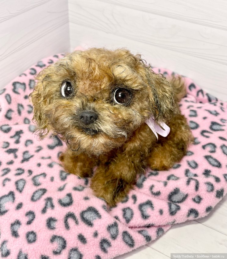 Фенечка 🐾🐶 — Реалистичные игрушки и звери (Натюр): собаки