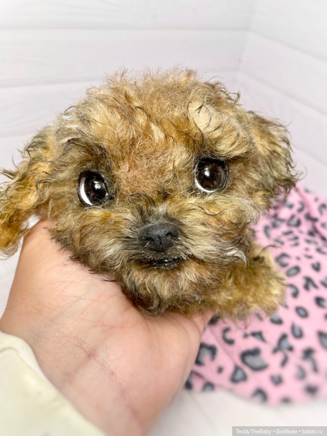 Фенечка 🐾🐶 — Реалистичные игрушки и звери (Натюр): собаки