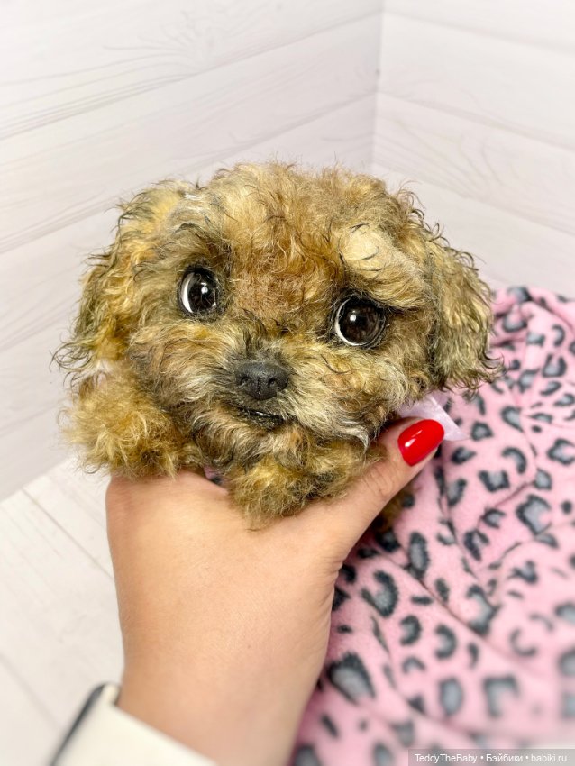 Фенечка 🐾🐶 — Реалистичные игрушки и звери (Натюр): собаки