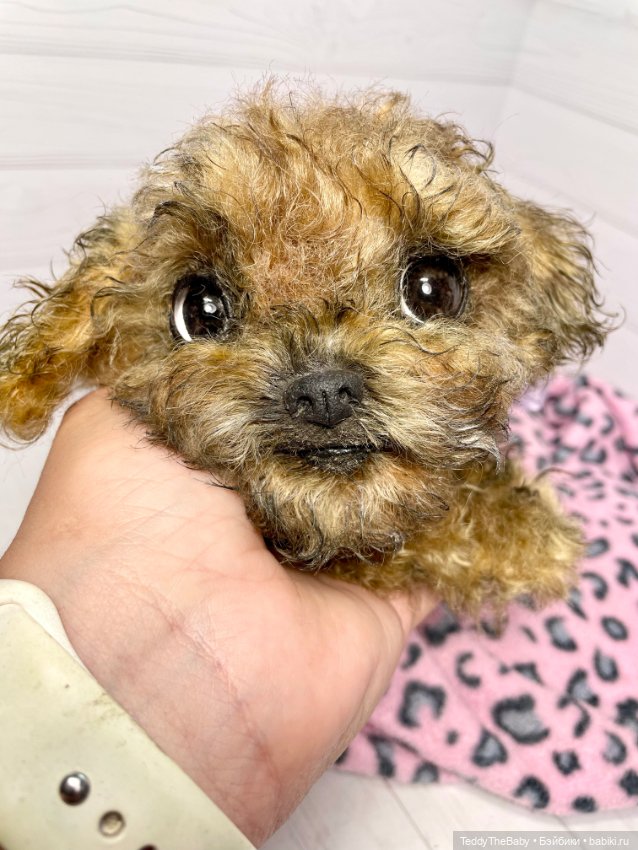 Фенечка 🐾🐶 — Реалистичные игрушки и звери (Натюр): собаки