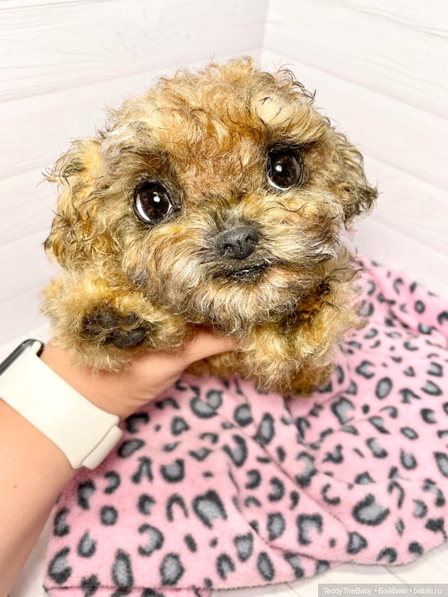 Фенечка 🐾🐶 — Реалистичные игрушки и звери (Натюр): собаки