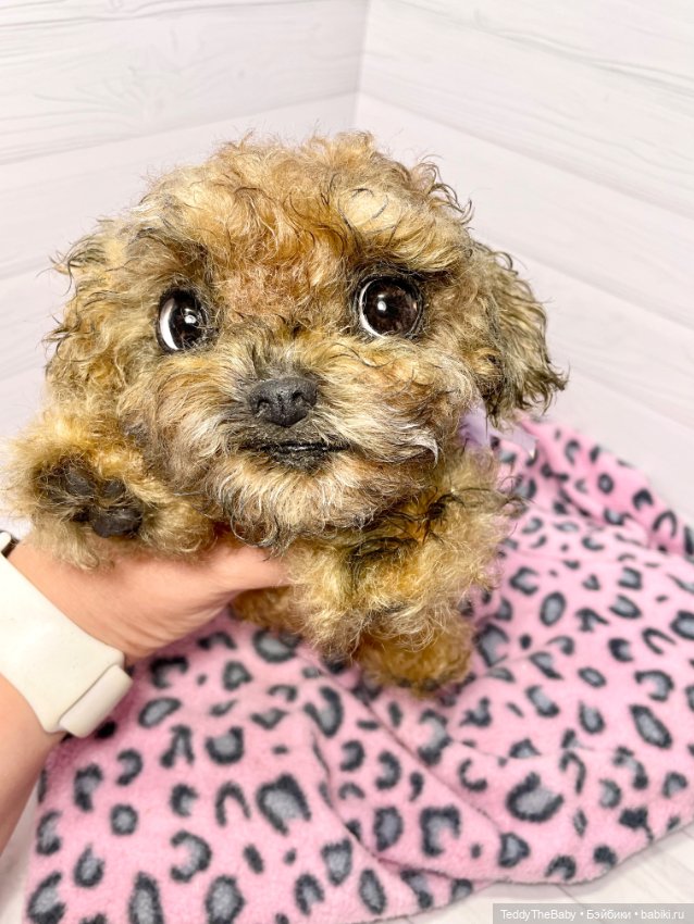 Фенечка 🐾🐶 — Реалистичные игрушки и звери (Натюр): собаки