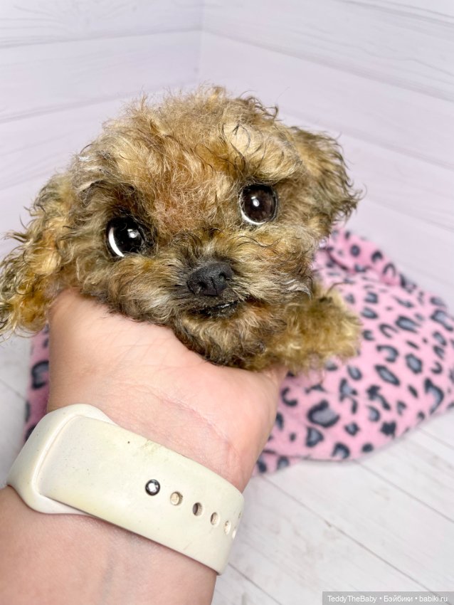 Фенечка 🐾🐶 — Реалистичные игрушки и звери (Натюр): собаки