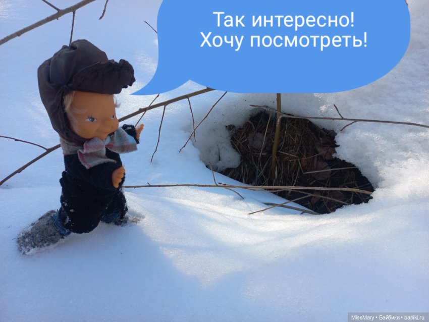 "Весёлые картинки". План "П" или "В лес по дрова". Часть 2