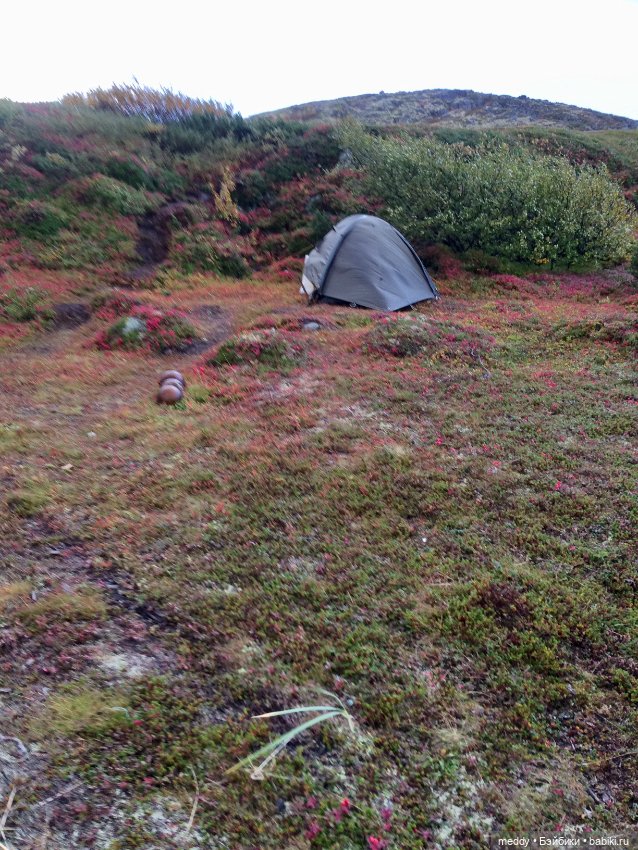 Грандиозное путешествие Даки по Кольскому полуострову. Часть третья. Северный Ледовитый океан