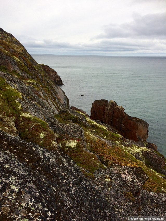 Грандиозное путешествие Даки по Кольскому полуострову. Часть третья. Северный Ледовитый океан