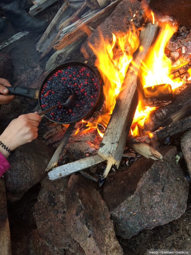 Грандиозное путешествие Даки по Кольскому полуострову. Часть третья. Северный Ледовитый океан