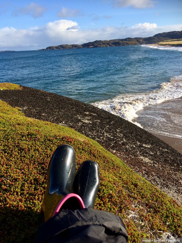 Грандиозное путешествие Даки по Кольскому полуострову. Часть третья. Северный Ледовитый океан