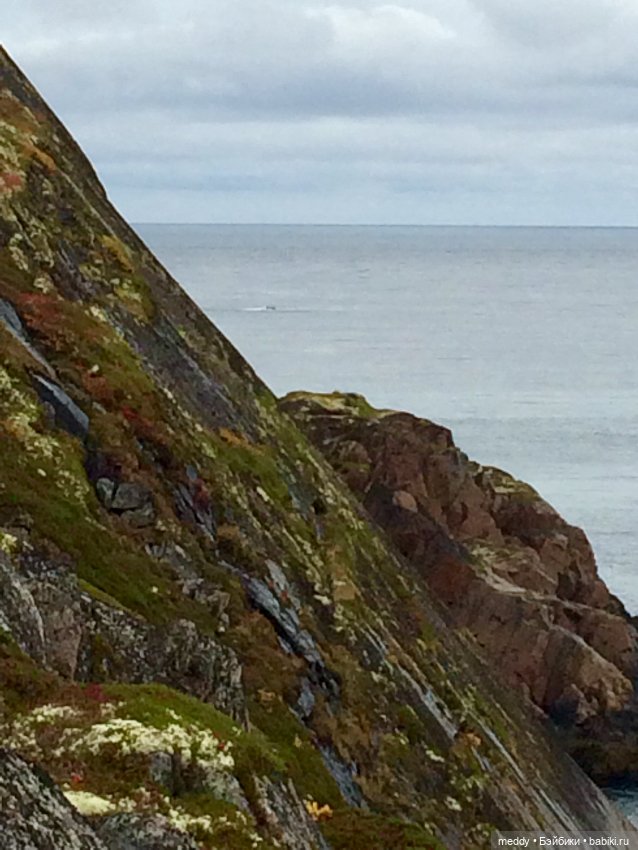 Грандиозное путешествие Даки по Кольскому полуострову. Часть третья. Северный Ледовитый океан