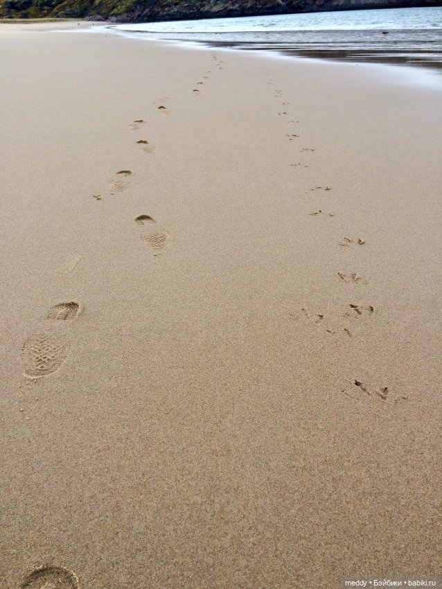 Грандиозное путешествие Даки по Кольскому полуострову. Часть третья. Северный Ледовитый океан