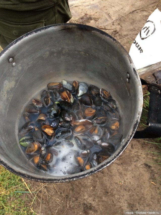 Грандиозное путешествие Даки по Кольскому полуострову. Часть третья. Северный Ледовитый океан