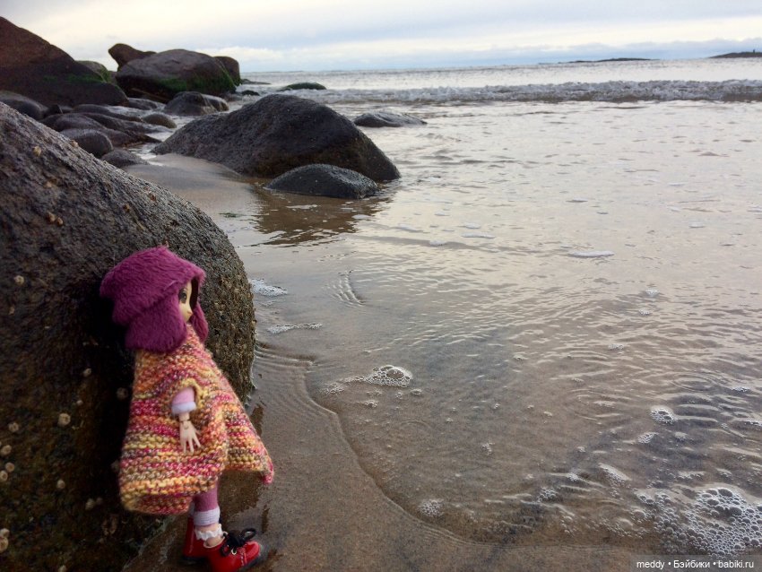 Грандиозное путешествие Даки по Кольскому полуострову. Часть третья. Северный Ледовитый океан