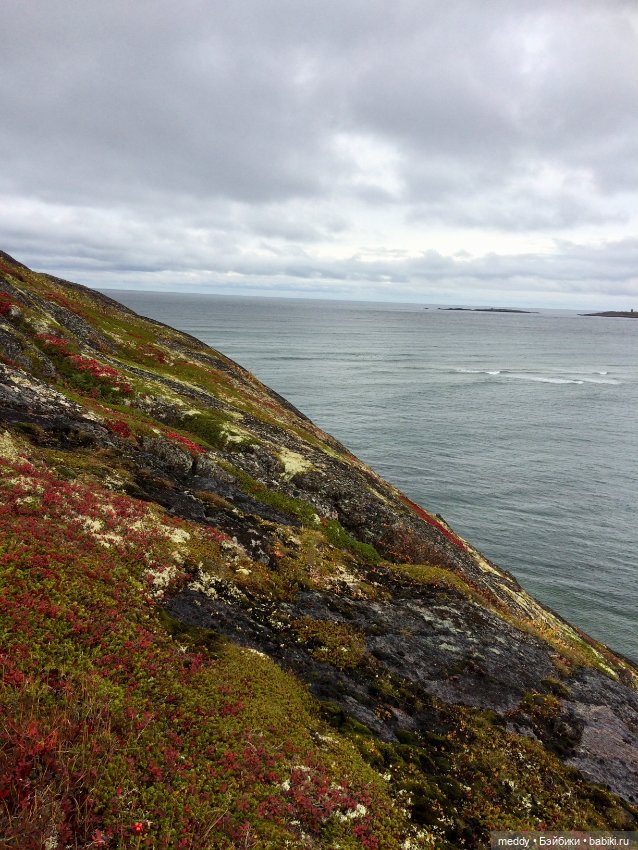 Грандиозное путешествие Даки по Кольскому полуострову. Часть третья. Северный Ледовитый океан
