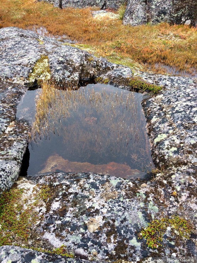 Грандиозное путешествие Даки по Кольскому полуострову. Часть третья. Северный Ледовитый океан