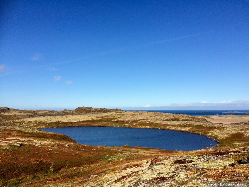 Грандиозное путешествие Даки по Кольскому полуострову. Часть третья. Северный Ледовитый океан