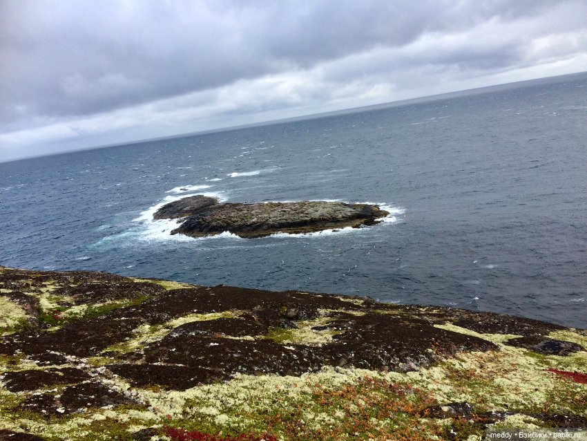Грандиозное путешествие Даки по Кольскому полуострову. Часть третья. Северный Ледовитый океан (фото 3)