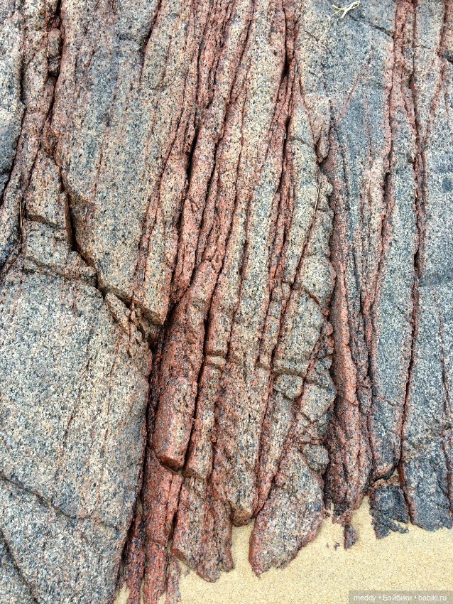 Грандиозное путешествие Даки по Кольскому полуострову. Часть третья. Северный Ледовитый океан