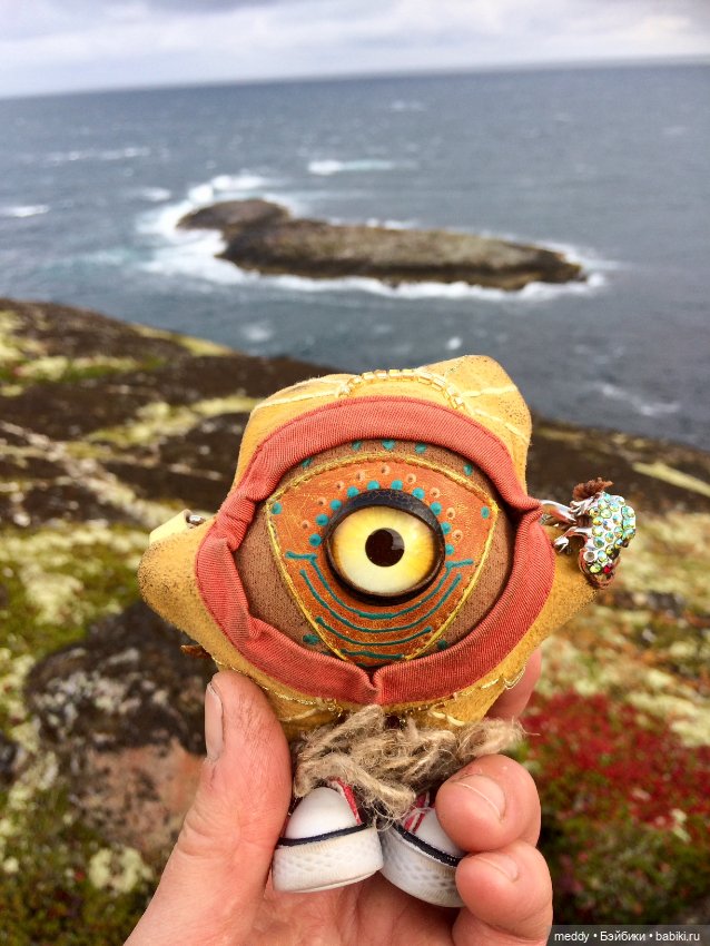 Грандиозное путешествие Даки по Кольскому полуострову. Часть третья. Северный Ледовитый океан (фото 4)