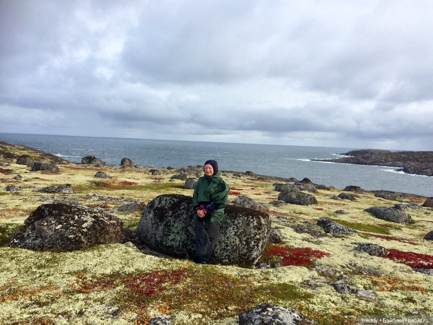 Грандиозное путешествие Даки по Кольскому полуострову. Часть третья. Северный Ледовитый океан (фото 2)